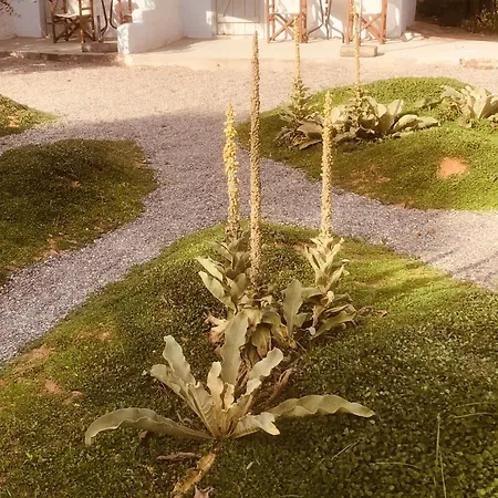 Barreira Beachfront 6 Ferienhaus Kalamata