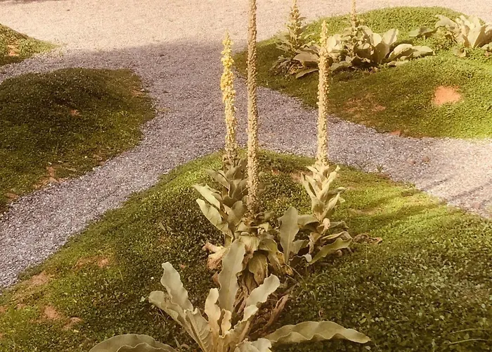 Barreira Beachfront 6 펜션 칼라마타